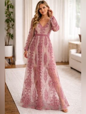 NWT A Beautiful Soul Sheer Embroidered Long Sleeve Dress 14/16